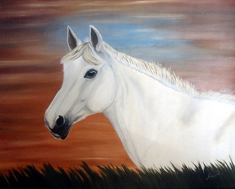 Cheval blanc