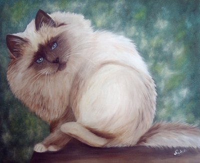 L'&eacute;tonnement du chat