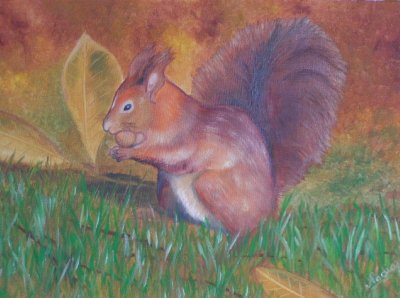 La gourmandise de l'&eacute;cureuil