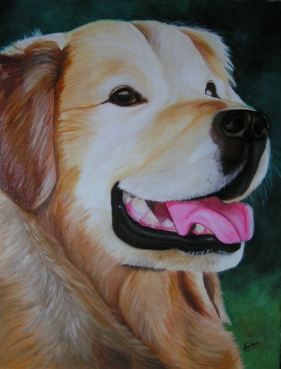 Un amour de chien