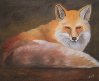 Le renard tranquille